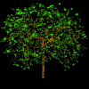 ANIMATED TREE