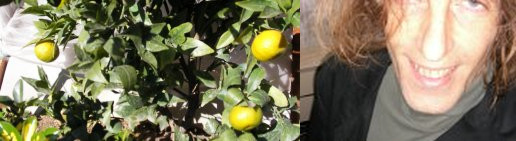 CLEMENTINES AND LUCA