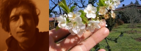 LUCA AND PLUM TREE BLOSSOMS