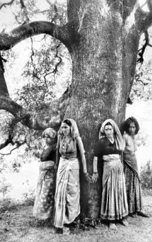 CHIPKO WOMEN