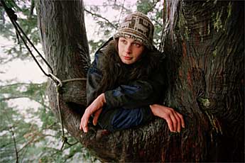 JULIA BUTTERFLY HILL